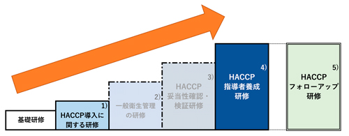 研修会ステップ