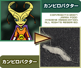 カンピロバクター