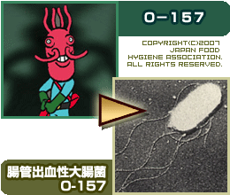 腸管出血性大腸菌O-157