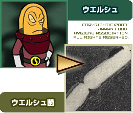 ウエルシュ菌