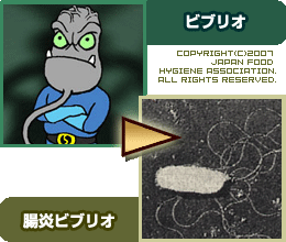 腸炎ビブリオ