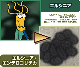 エルシニア・エンテロコリチカ