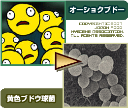 黄色ブドウ球菌